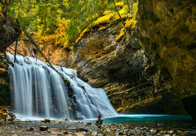 Scenic view of waterfall in forest