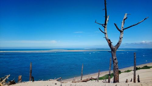 Scenic view of sea against blue sky