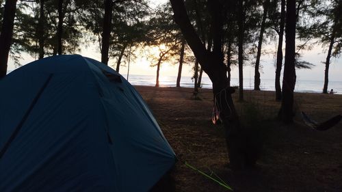 View of tent in forest against sky