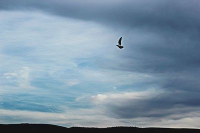 Low angle view of birds flying against cloudy sky