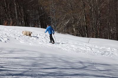 Rear view of person walking on snow covered land