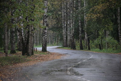 Road amidst trees in forest