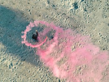 High angle view of pink starfish on sand