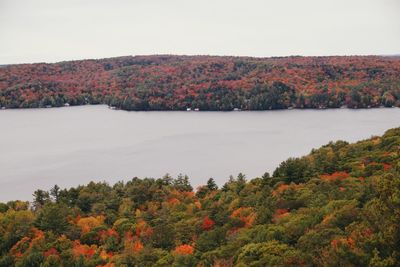 Scenic view of lake by trees during autumn