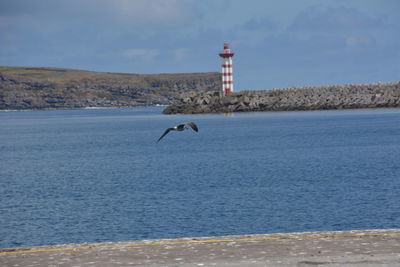 Seagull flying over sea with lighthouse in background