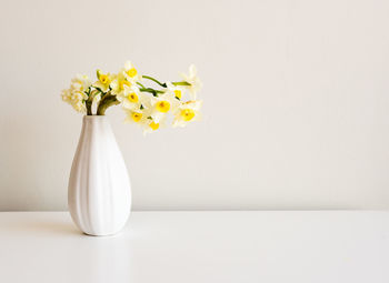 Close-up of white flowers in vase