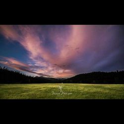 Scenic view of grassy field against cloudy sky