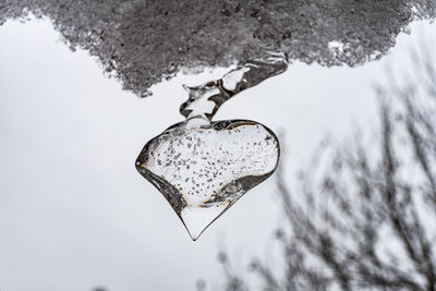 Close-up of frozen heart shape in winter