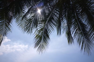 Low angle view of palm tree against sky