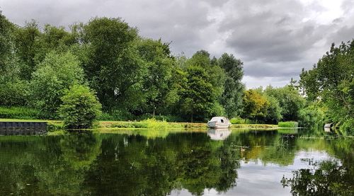 Swan on lake by trees against sky