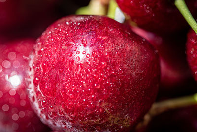 Close-up of wet strawberry