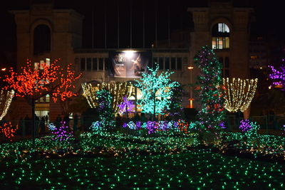 Illuminated christmas tree at night