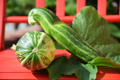 Close-up of zucchini on a red bench