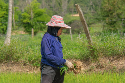 It is a traditional farming practice that involves hand-embroidering rice seedlings.