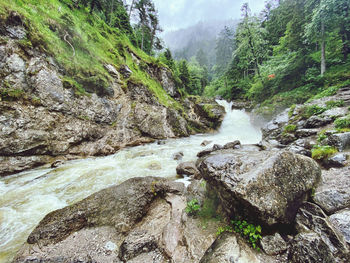 Stream flowing through rocks in forest