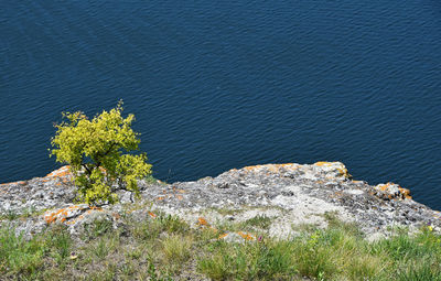 Rocks in sea