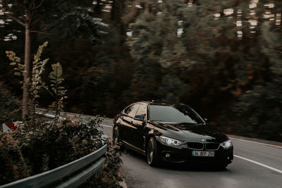 Car on road amidst trees in forest