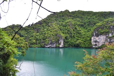 Scenic view of lake and trees against sky