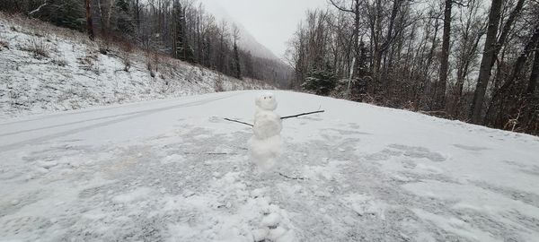 Snowman in road snow covered landscape