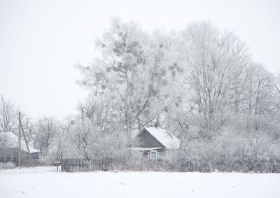 Trees on snow covered landscape against clear sky