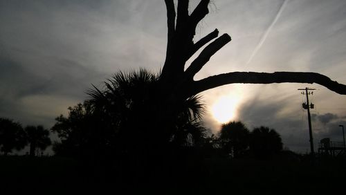 Low angle view of silhouette tree against sky