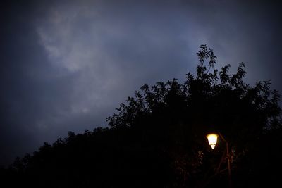 Silhouette tree against sky at night