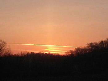 Silhouette of trees at sunset