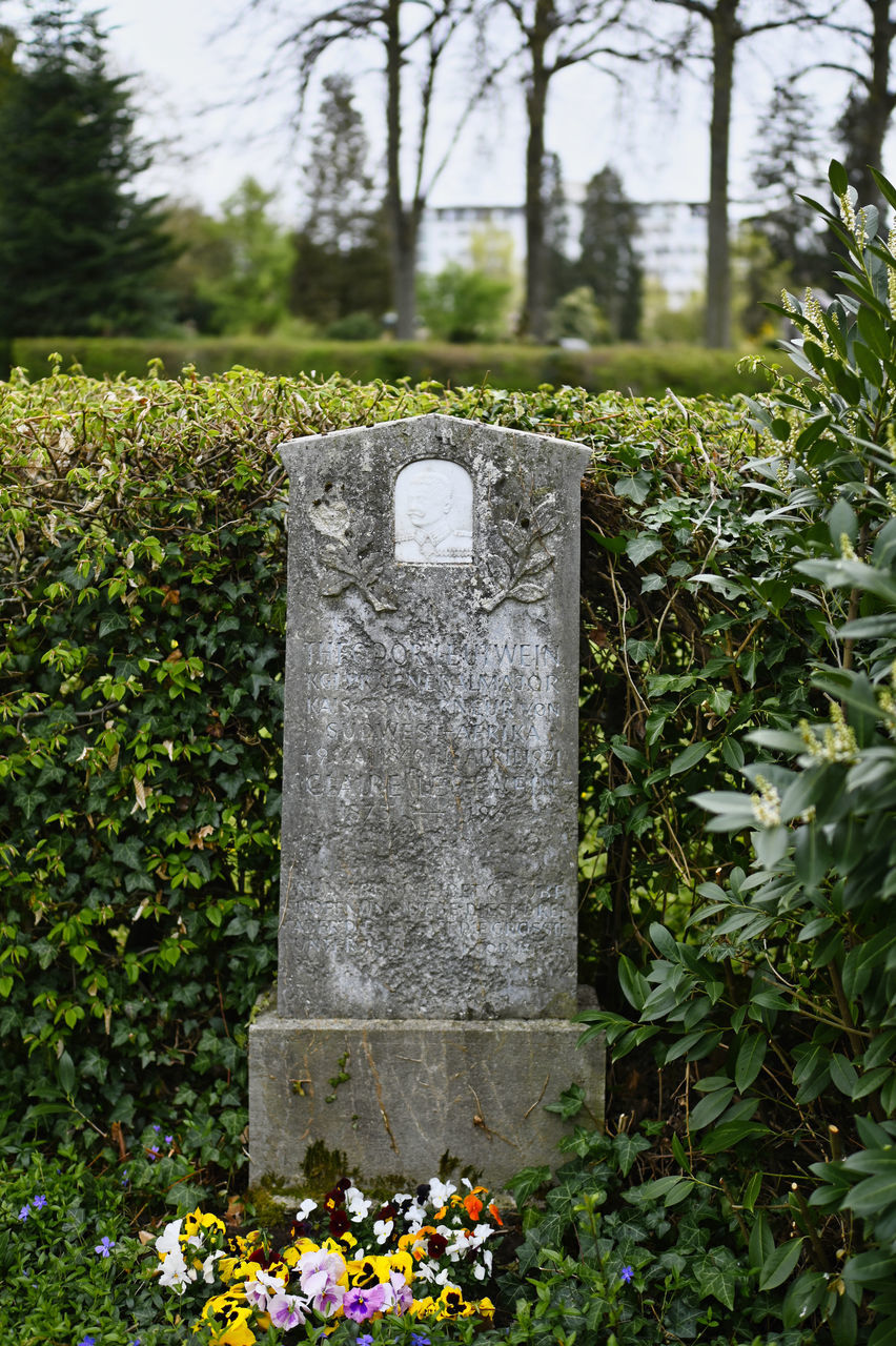 plant, nature, tombstone, flower, grave, cemetery, memorial, flowering plant, death, stone, no people, day, stone material, headstone, tree, sadness, outdoors, garden, growth, the past, history, religion, sky, green, grass, beauty in nature