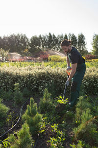 Male gardener transplanting plants on farm