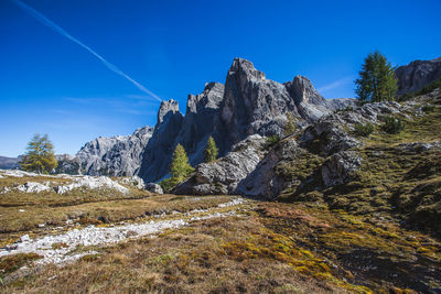 Larch with dolomite cima una peak background, south tyrol, italy