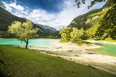 Scenic view of lake by trees against sky