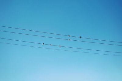 Low angle view of birds perching on cables against clear blue sky