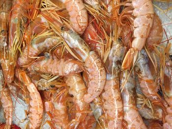 High angle view of fish for sale in market