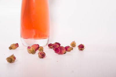 Close-up of orange flower on table against white background