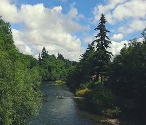 Scenic view of trees against cloudy sky