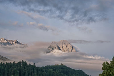 Low angle view of trees on mountain against sky