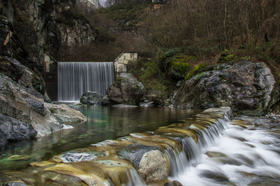 Stream flowing through rocks in forest