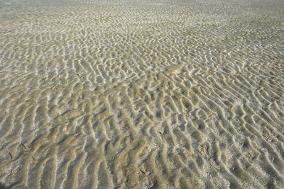 Full frame shot of sandy beach