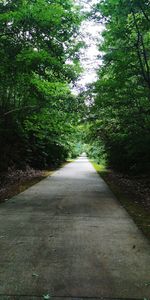 Road amidst trees in forest