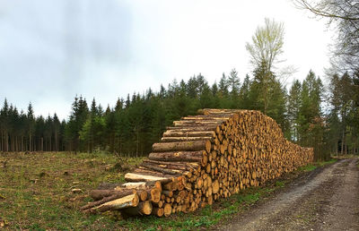 View of chopped firewood against cloudy sky