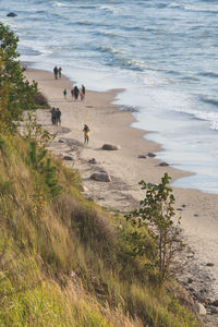 Dutchman's cap, in lithuanian olando kepure, hill or parabolic dunes with pine trees, on baltic sea