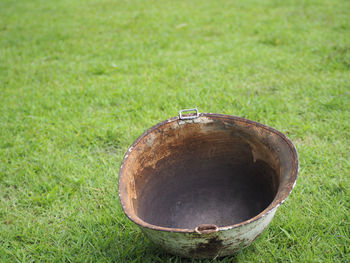 Close-up of grass on field