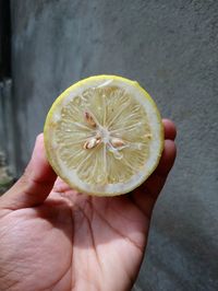 Close-up of hand holding apple