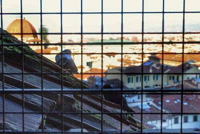 Buildings against sky seen through glass window