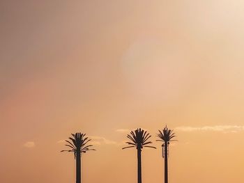 Low angle view of silhouette palm trees against sky during sunset