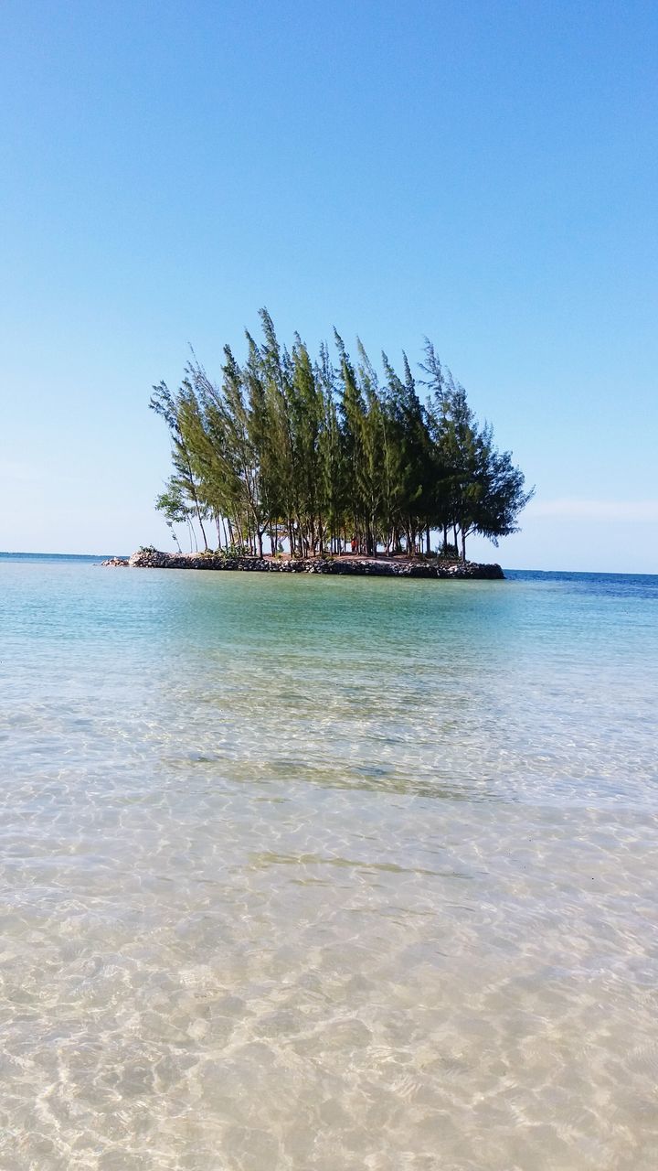 water, sea, blue, tranquil scene, clear sky, tree, scenics, tranquility, waterfront, horizon over water, nature, beauty in nature, island, growth, day, calm, outdoors, majestic, ocean, no people, remote, solitude