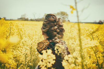 Yellow flowers growing on field at sunset