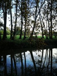 Scenic view of lake against trees in forest