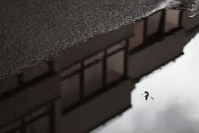 Low angle view of a wall