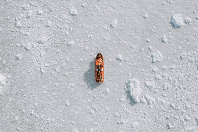 High angle view of woman walking on snow